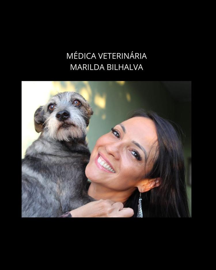 BEM ESTAR PET: SITUAÇÕES QUE PARECEM NORMAIS MAS QUE PRECISAM SER INVESTIGADOS NA VIDA DOS PETS