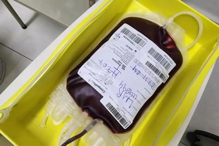 Tatuagem, piercing e gripe: confira as novas regras para doar sangue