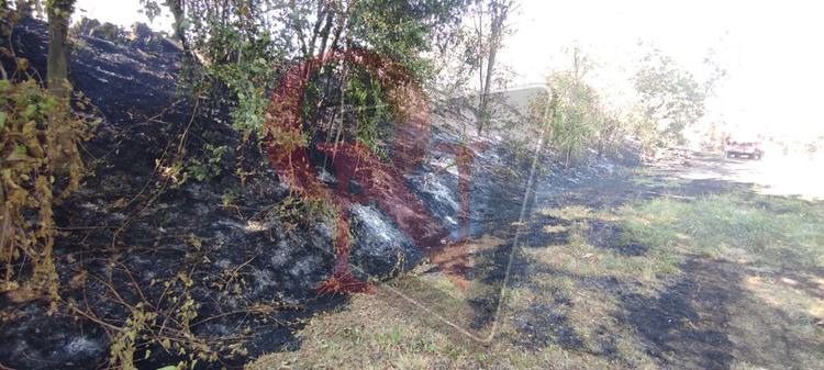 candia canavese incendio boschivo verso barone canavese