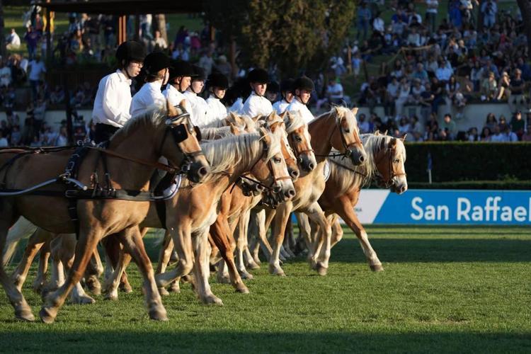 A Piazza di Siena il Carosello dell’inclusione diventa “Experience”: violino live per i ragazzi del San Raffaele Viterbo