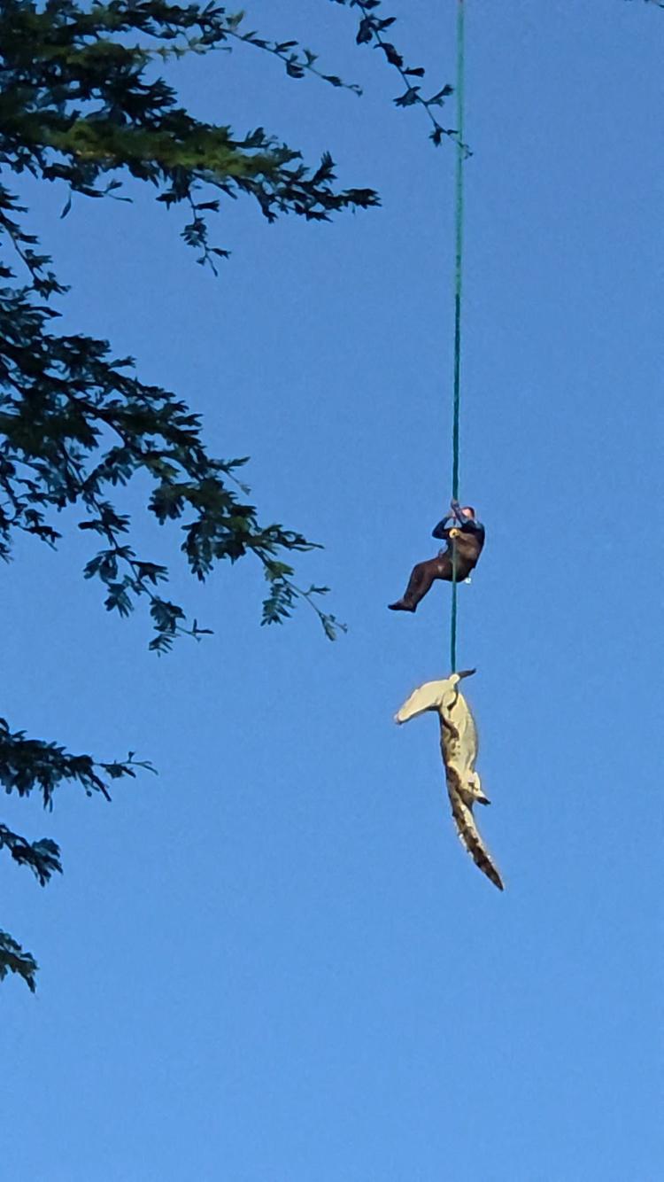 VÍDEO: Policial é içado de helicóptero com crocodilo que devorou homem na África do Sul