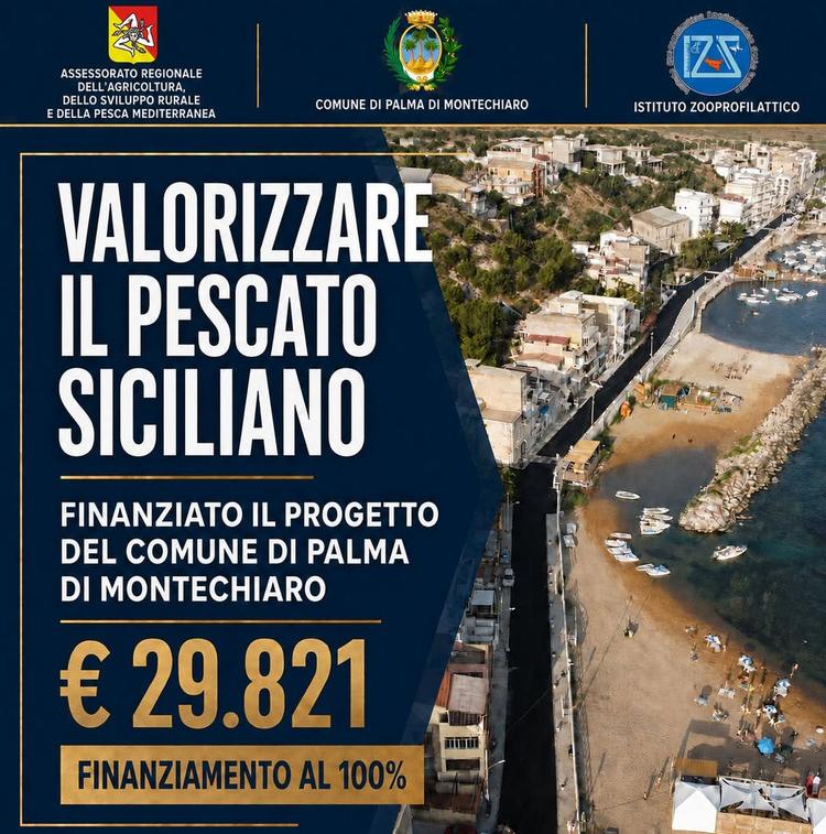 VALORIZZARE IL PESCATO SICILIANO: FINANZIATO IL PROGETTO DEL COMUNE DI PALMA DI MONTECHIARO Con il D.D.G. n. 440 del 19...