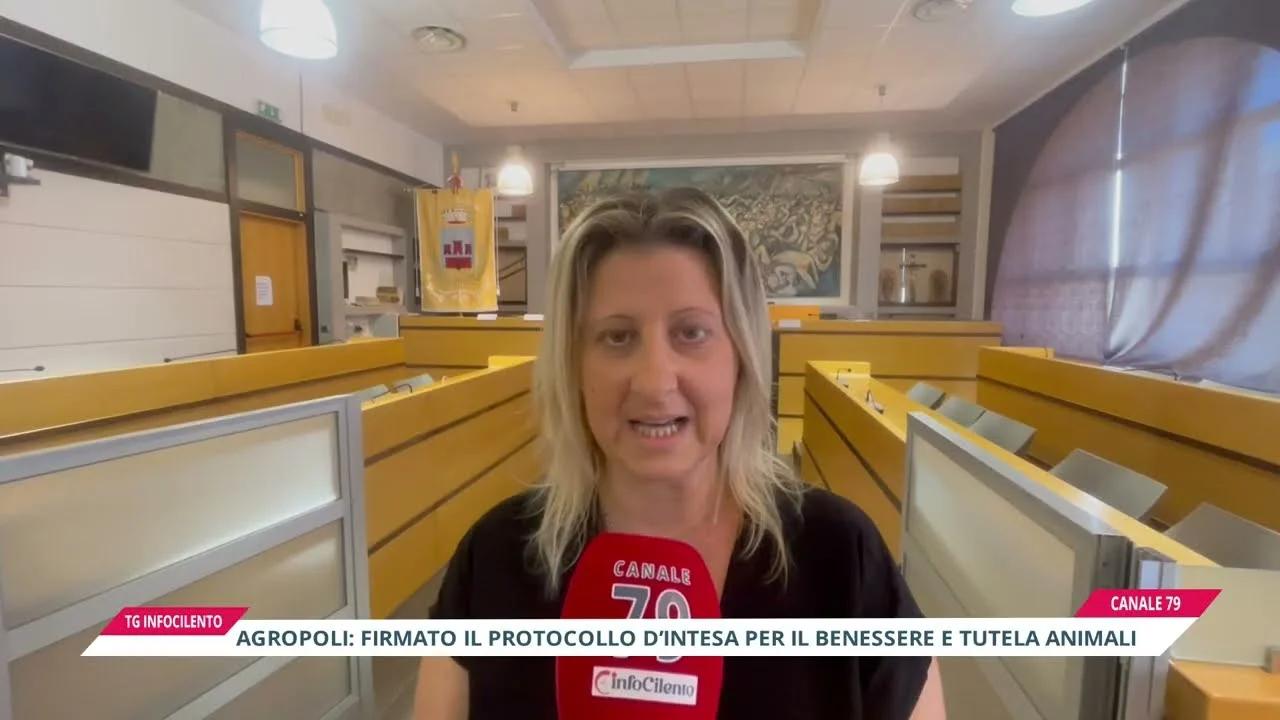 Agropoli: firmato il protocollo d’intesa per la tutela e il benessere animale