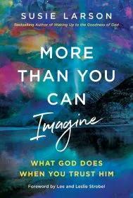 More Than You Can Imagine by Susie Larson