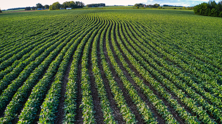 Mississippi ag producers to see $423 million in farm safety net improvements