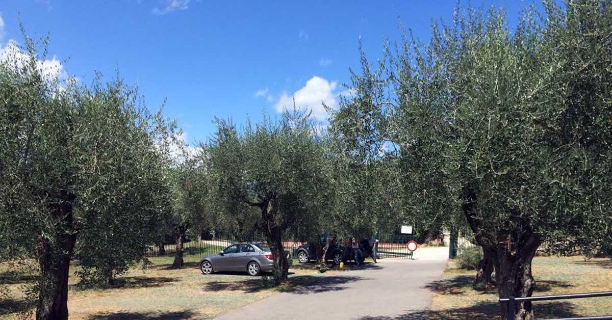 Sala Consilina, bando per la gestione estiva della Villa Comunale di via Pozzillo