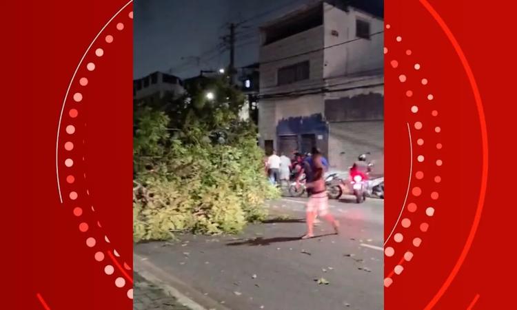 Queda de árvore interdita trecho de pista ao lado do Dique do Tororó e deixa feridos em Salvador