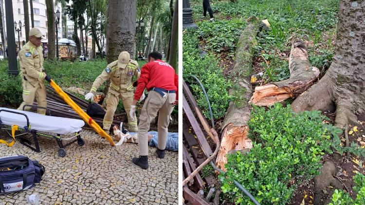 Praça Osório será interditada para obras após quedas de galhos deixarem três feridos, anuncia prefeito de Curitiba