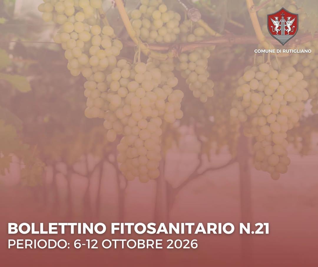🔴 BOLLETTINO FITOSANITARIO N. 21 L'ufficio Agricoltura del comune di Rutigliano comunica che, sul sito dell'Ente, è onl...