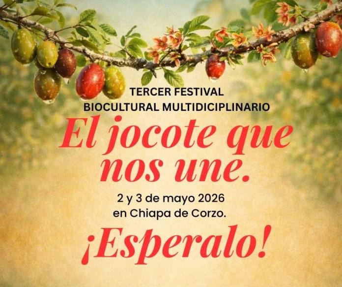 Jocote, el fruto chiapaneco que busca volver a florecer