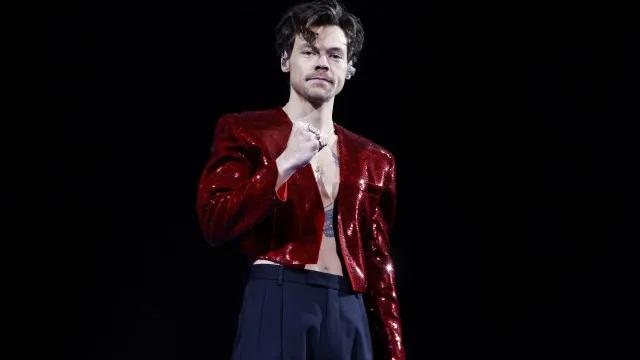 Com ingressos a R$ 7 mil, VIP de Harry Styles é criticado e equipe explica