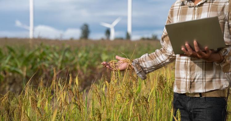 Governo federal propõe renegociar R$ 82 bilhões em dívidas de produtores