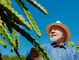 Lula diz que dará maracujá e jabuticaba  de presente para Trump 'se acalmar'