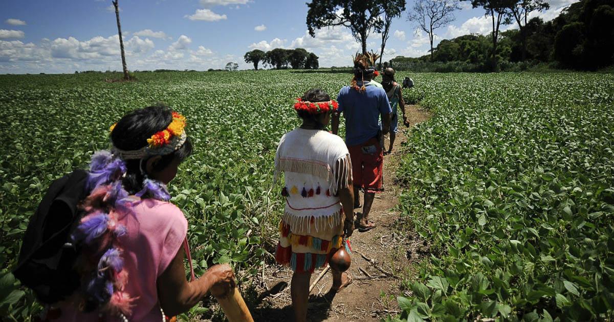 Povos indígenas de MS criam cooperativa para negociar a própria produção