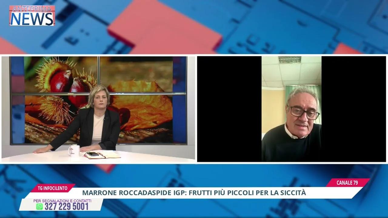 Marrone di Roccadaspide IGP: al via la raccolta, appello del Consorzio