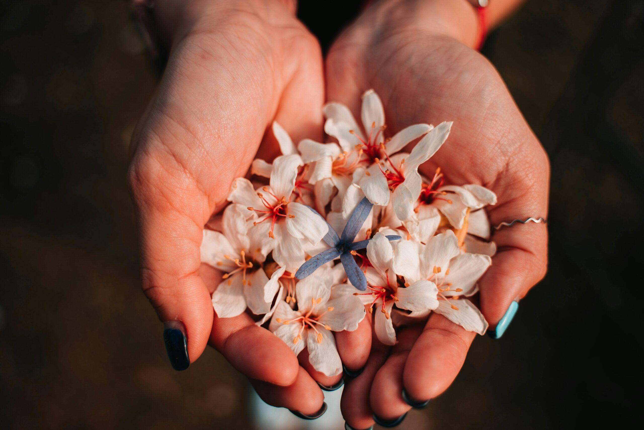 Migliori fornitori di cosmetica ayurvedica per centri estetici in Italia: classifica dei 5 partner più qualificati per i professionisti del benessere