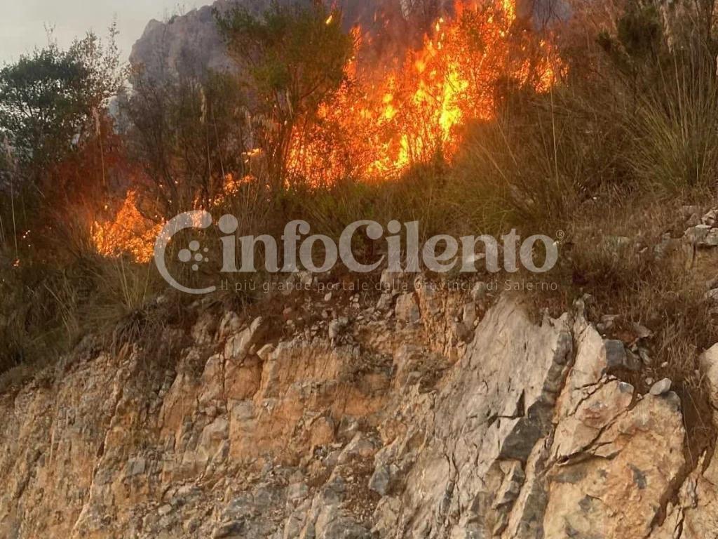 Incendio a Lentiscosa, bruciati tredici ettari di macchia mediterranea a Marina di Camerota