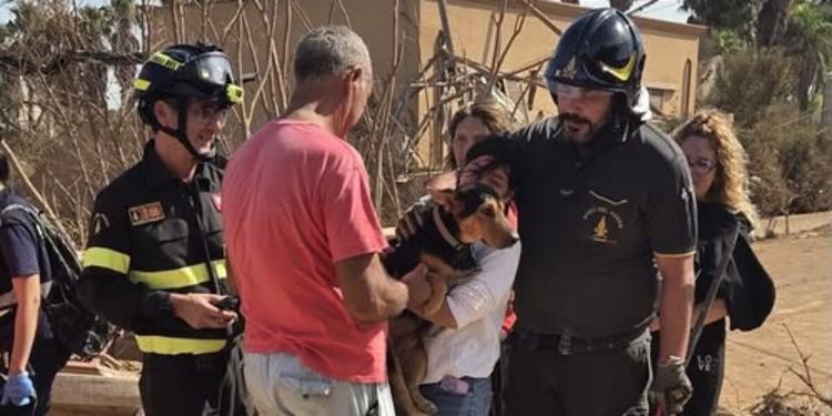 Tromba marina a Marsala, cane estratto da sotto macerie