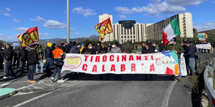 Tirocinanti della Calabria, il valzer dei numeri. La Regione: contratti per  il 95%