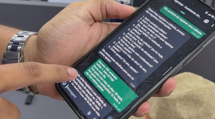 Assistente virtual criada no Amapá facilita rotina no campo e ajuda produtores a acessar crédito