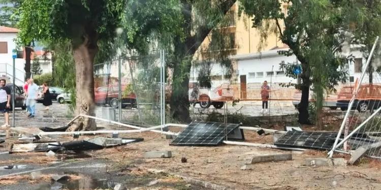Tromba d'aria a Policoro, decine di alberi abbattuti. Il sindaco: "Un evento eccezionale, mai vissuto in città"