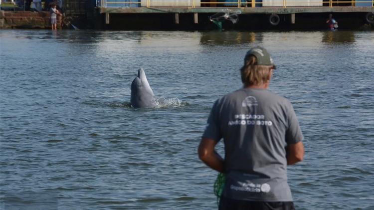 Foto colorida que mostra pescador de costas, voltado para o Rio Tramandaí, onde aparece um boto saindo da água