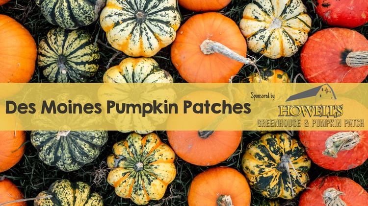 Pumpkin Patches in Des Moines