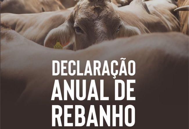 Alerta aos produtores rurais que não entregaram a Declaração Anual do Rebanho