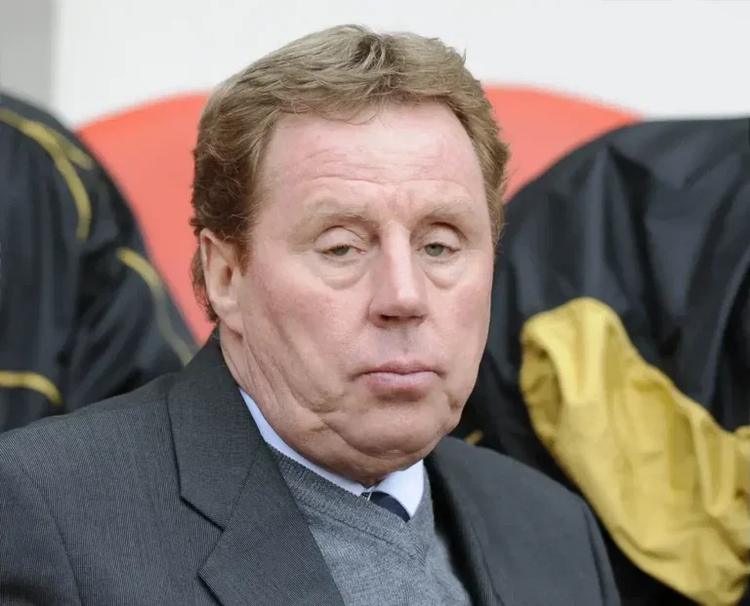 ‘Newcastle owners have publicly backed Eddie Howe, that’s nice but…’ Harry Redknapp