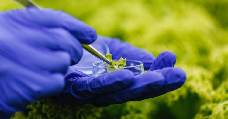Paraná lança programa de inovação com R$ 20 milhões para projetos de genômica no agro