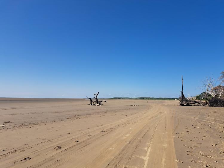 Após nova descoberta de petróleo na costa do Amapá, pesquisadores ampliam monitoramento de animais marinhos