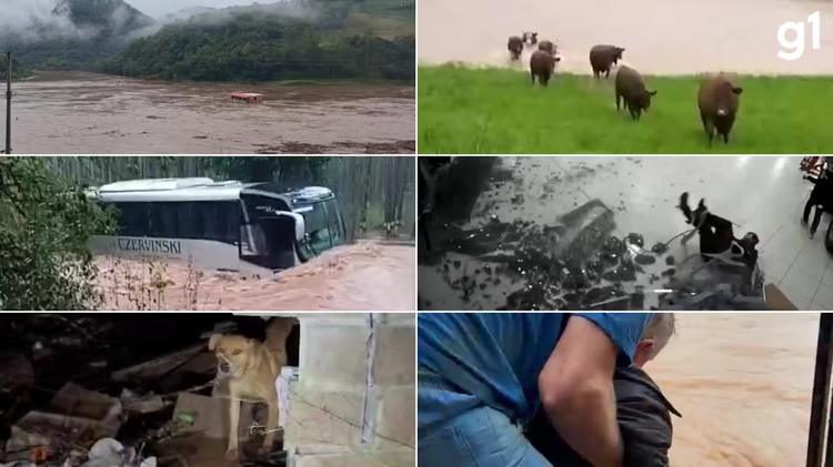 Casa e ônibus arrastados, gado nadando e lojas destruídas: confira IMAGENS dos transtornos causados pelas chuvas no RS
