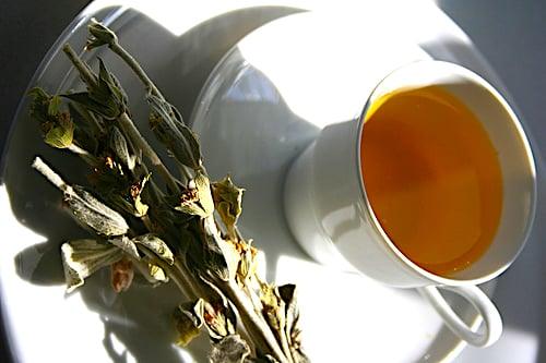 Greek Mountain Tea and Its Healing Properties