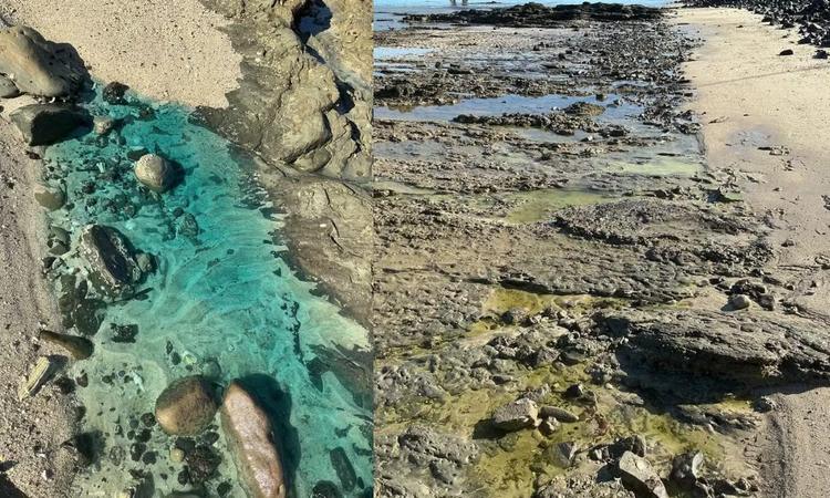 MPF abre inquérito civil para investigar impactos da contaminação química em comunidades da praia de São Tomé de Paripe