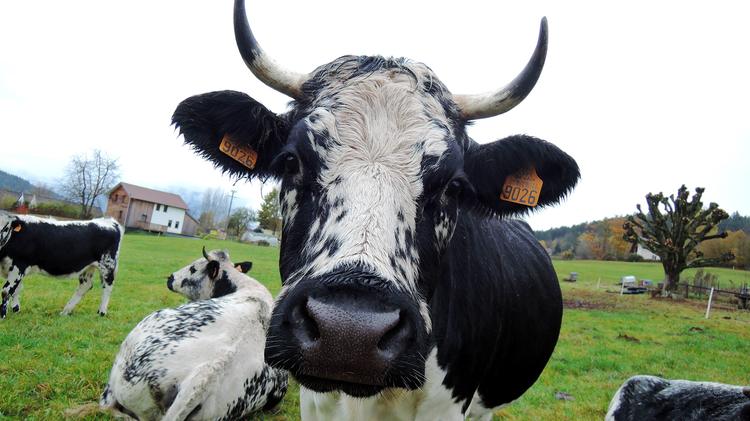 Rencontrez dégustez, partagez : bienvenue à la ferme !