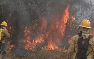 Cidade de Altamira decreta situação de emergência por incêndios florestais no Pará