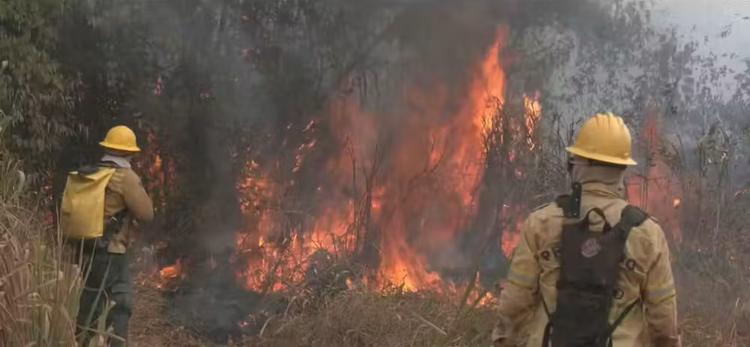 Cidade de Altamira decreta situação de emergência por incêndios florestais no Pará