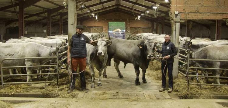 Concours Général Agricole : une médaille d’or pour le GAEC Ariégeois de la Hèche et la boucherie Chez Sébastien