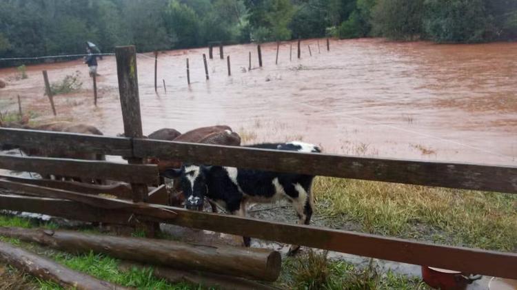 Chuva de quase 200mm cancela aulas, eleva nível de rios e deixa estragos no RS