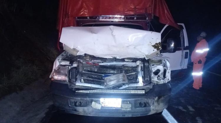 Conductor choca contra una vaca en la autopista de Tlaltizapán y sobrevive de milagro