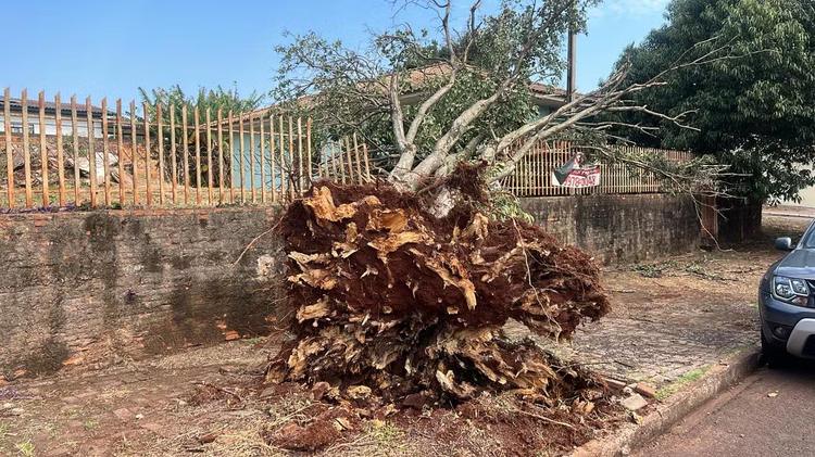 Cobertura de casa arrancada, queda de árvores e falta de energia: temporais deixam estragos em cidades do Paraná
