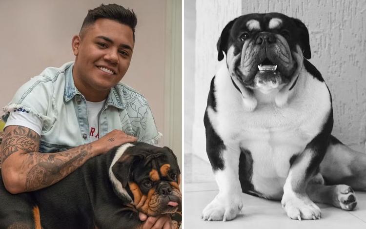 Felipe Araújo lamenta morte de seu cachorro Mirosmar, que levava nome de batismo de Zezé di Camargo: 'Alguém que a gente ama muito se foi'