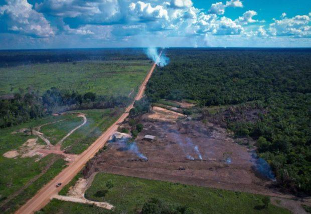 Ação na Justiça tenta anular editais para estrada BR-319 na Amazônia