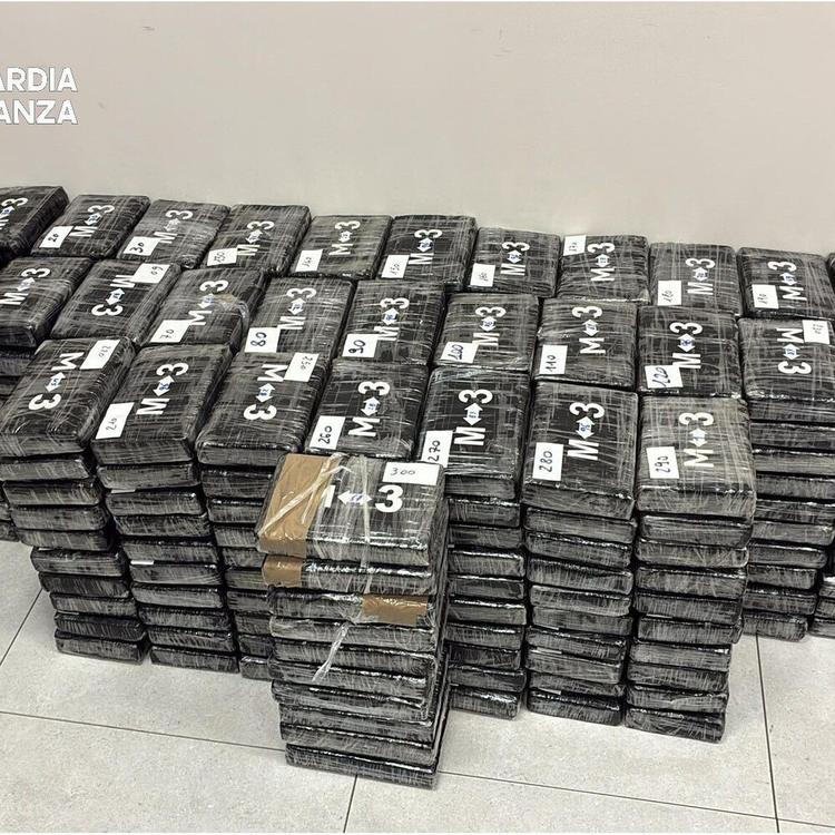 Cocaina nel carico di platani: 340 chili intercettati al porto di Vado Ligure