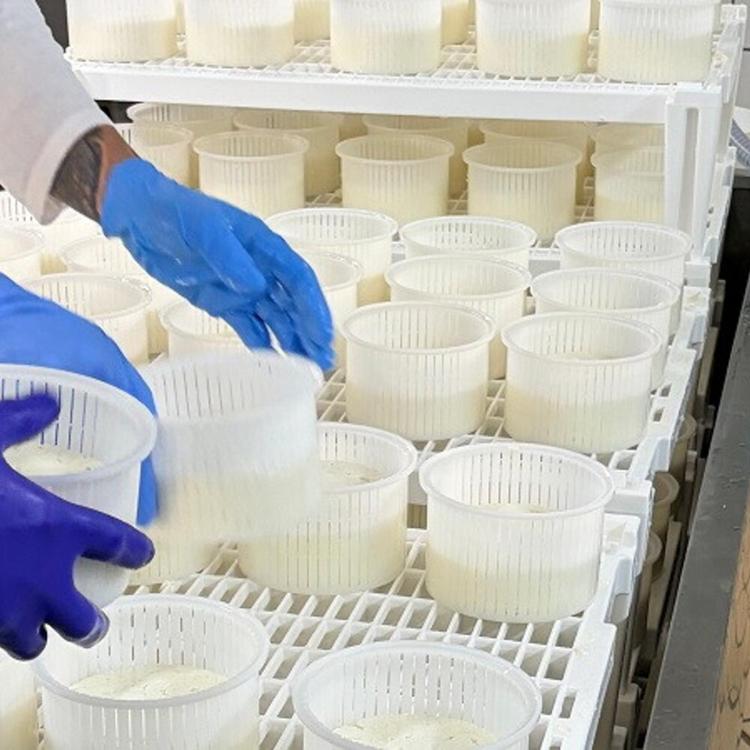 Nel carcere di Bologna un caseificio offre lavoro e formazione ai detenuti