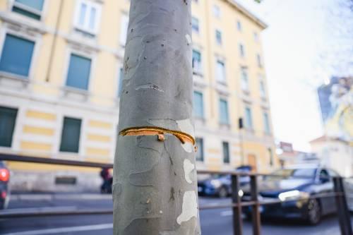Cavo d'acciaio teso in strada a Milano, ma il giudice li condanna per blocco stradale