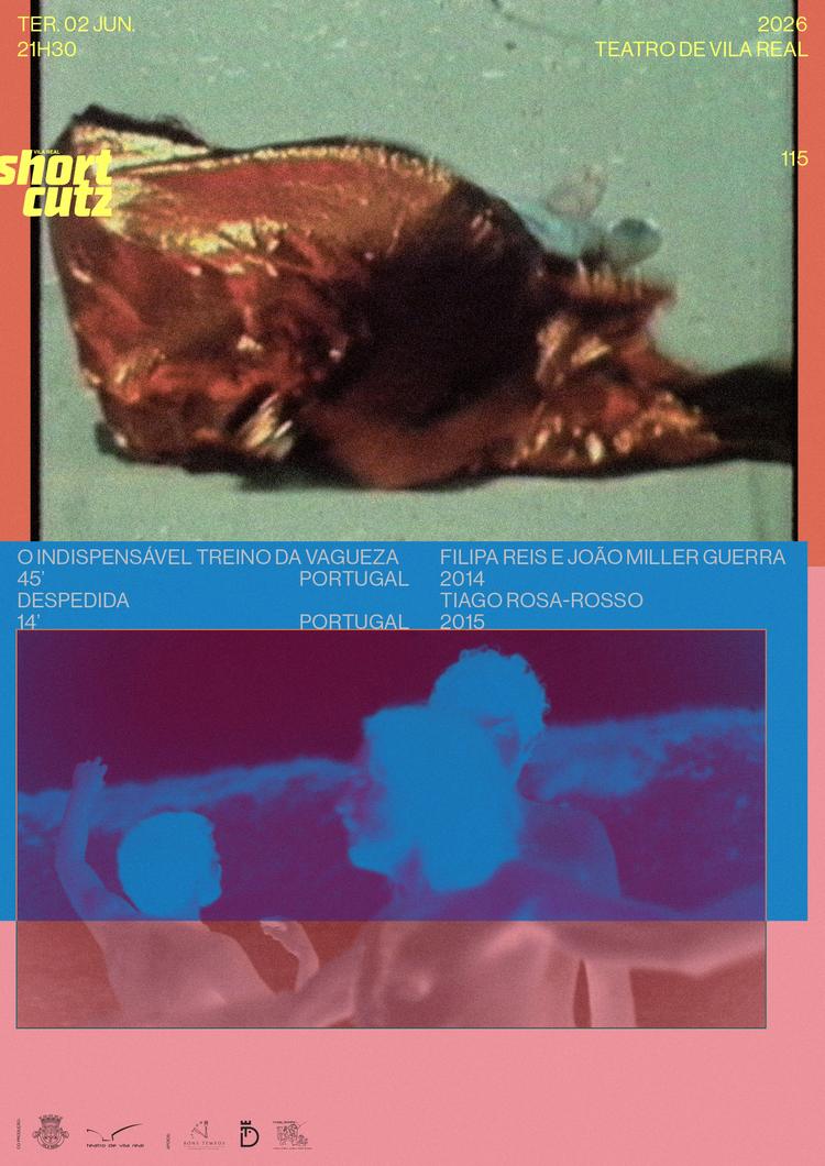 SCVR 115 PosterDIG