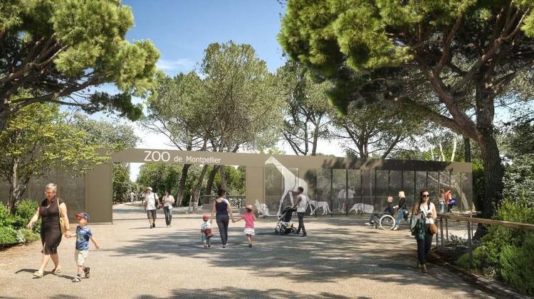 Montpellier : pourquoi le zoo ferme temporairement ?