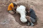 Castilla-La Mancha, la inesperada tierra de los dinosaurios gigantes: "Estamos escribiendo la historia de su desaparición en Europa"