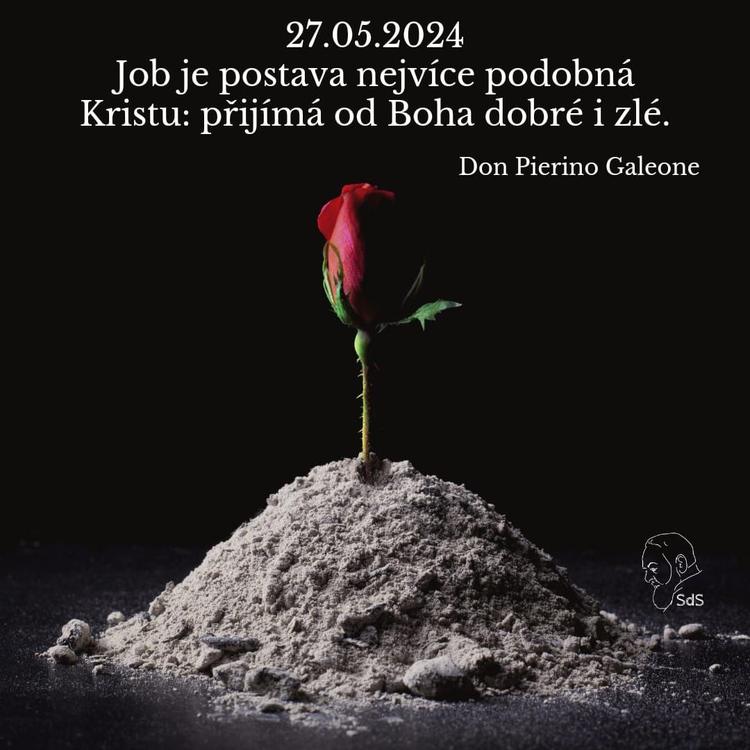 27.5.2024
Job je postava nejvíce podobná Kristu: přijímá od Boha dobré i zlé.

Don Pierino Galeone